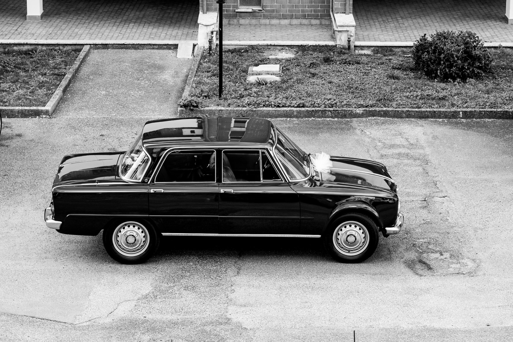 www.fototrogu.mom