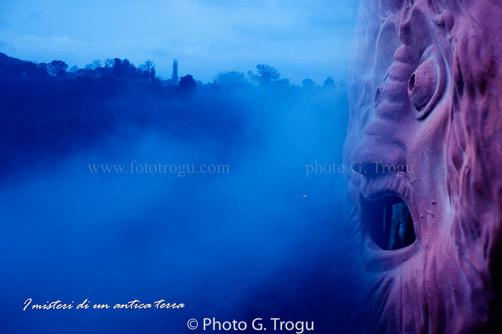 Photography & Project by fototrogu.mom