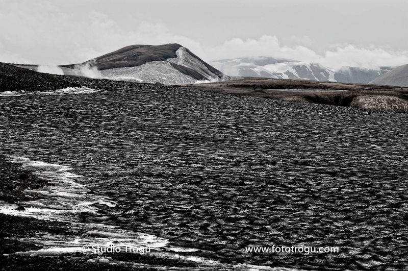 Photography & Project by fototrogu.mom