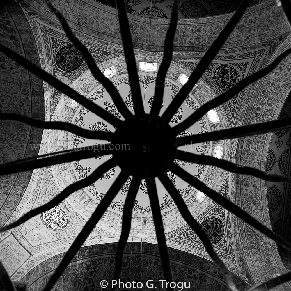 Photography & Project by fototrogu.mom