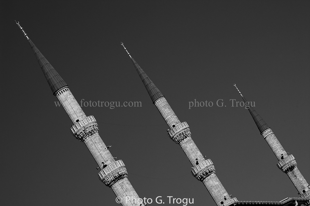 Photography & Project by fototrogu.mom