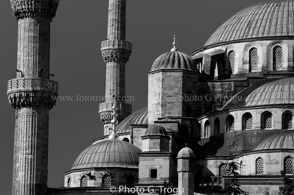 Photography & Project by fototrogu.mom