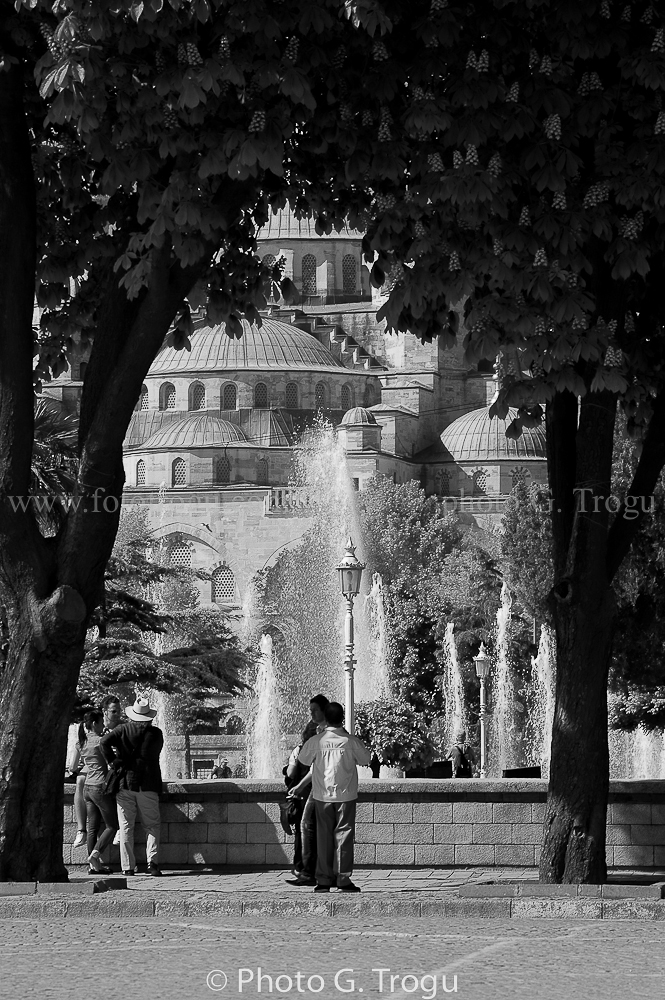 Photography & Project by fototrogu.mom