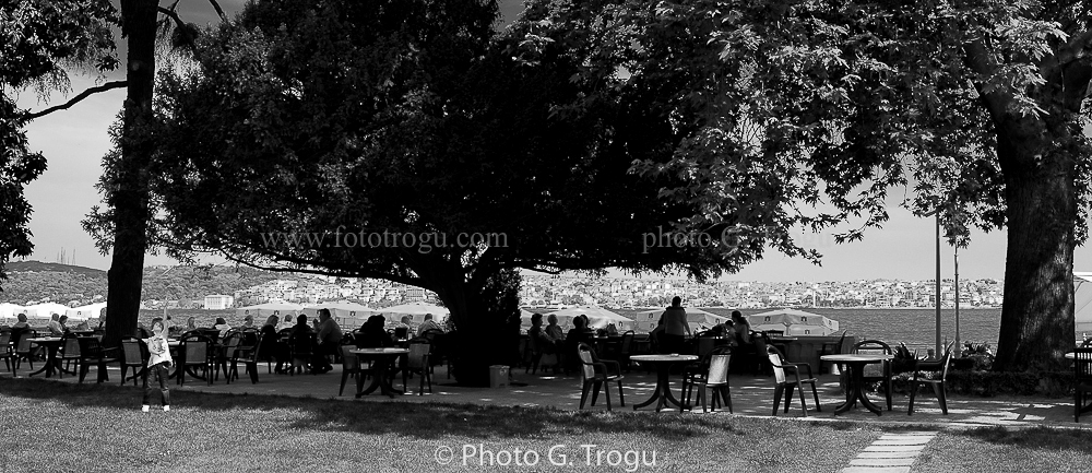 Photography & Project by fototrogu.mom