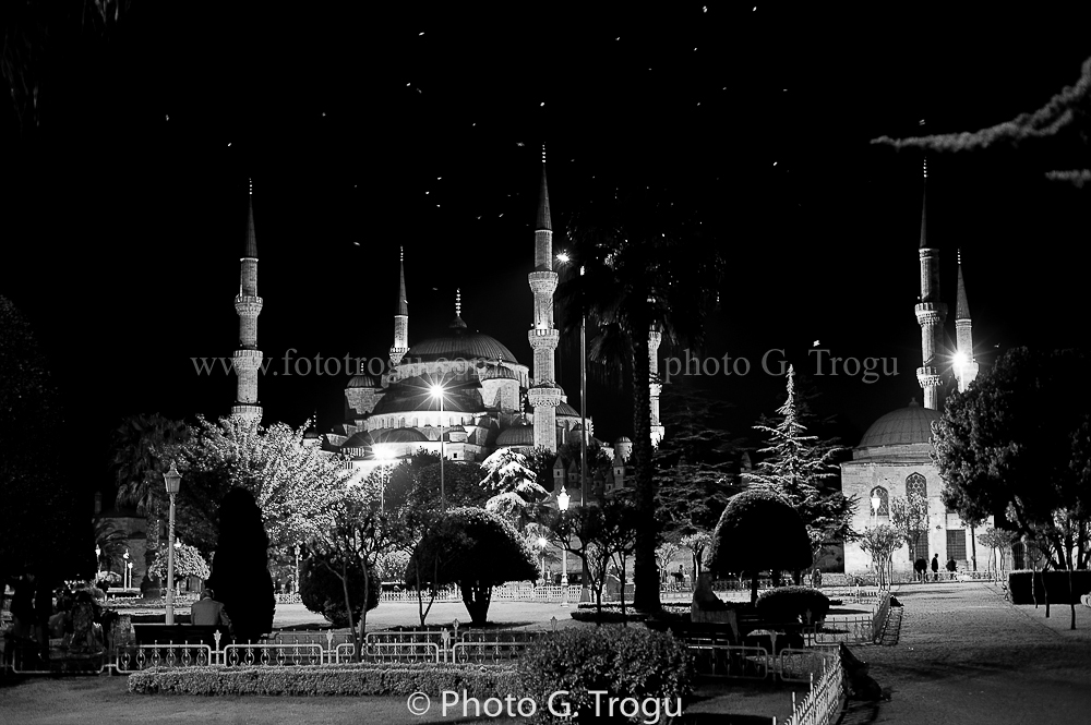 Photography & Project by fototrogu.mom