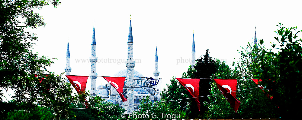 Photography & Project by fototrogu.mom