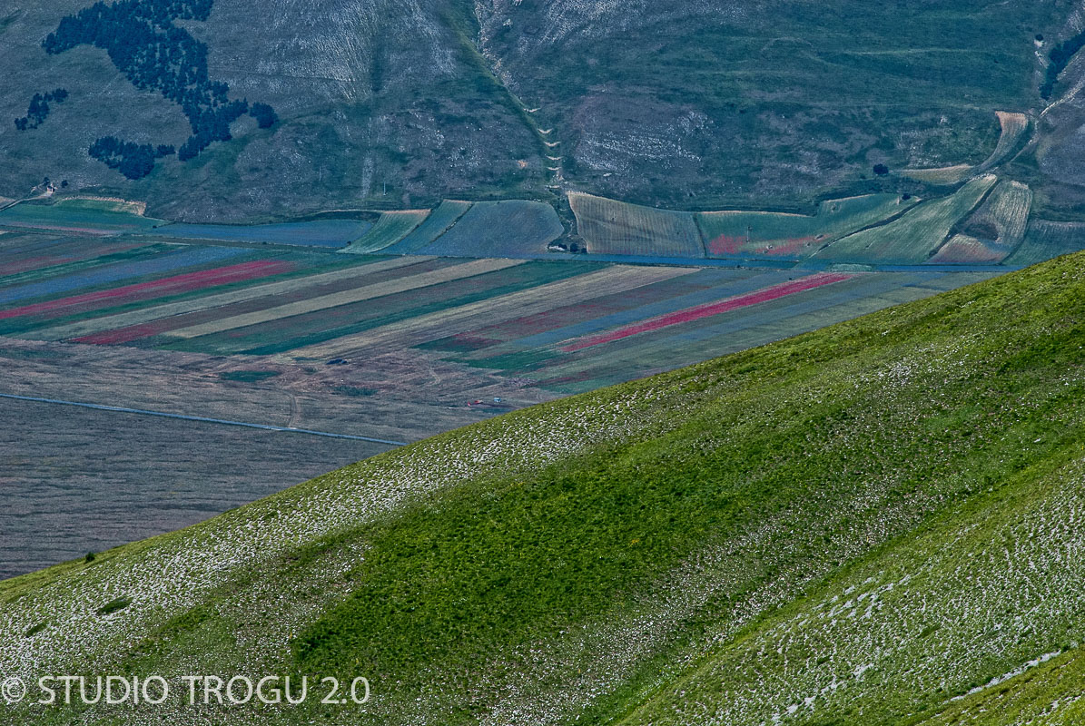 Photography & Project by fototrogu.mom