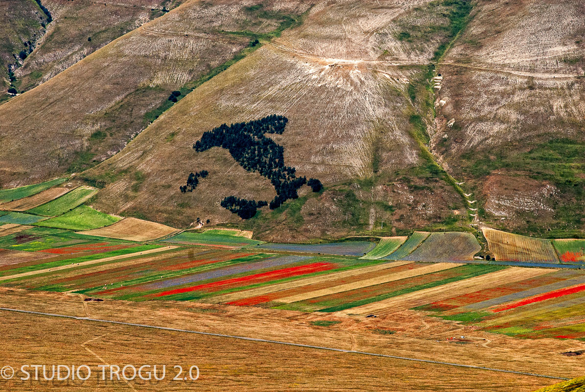 Photography & Project by fototrogu.mom