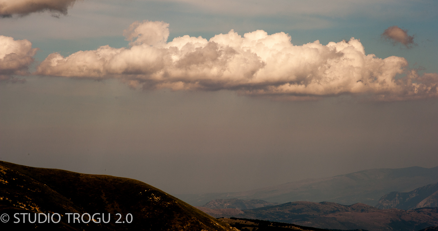 Photography & Project by fototrogu.mom