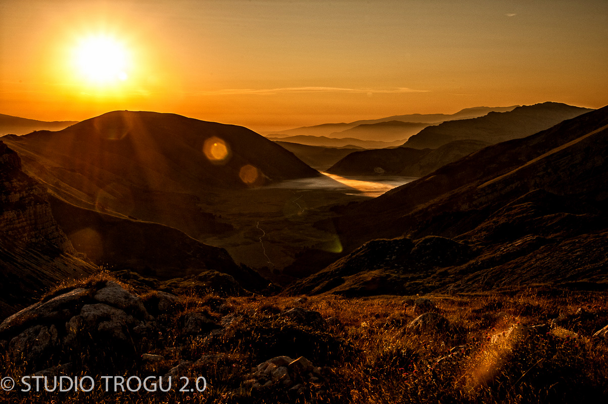 Photography & Project by fototrogu.mom