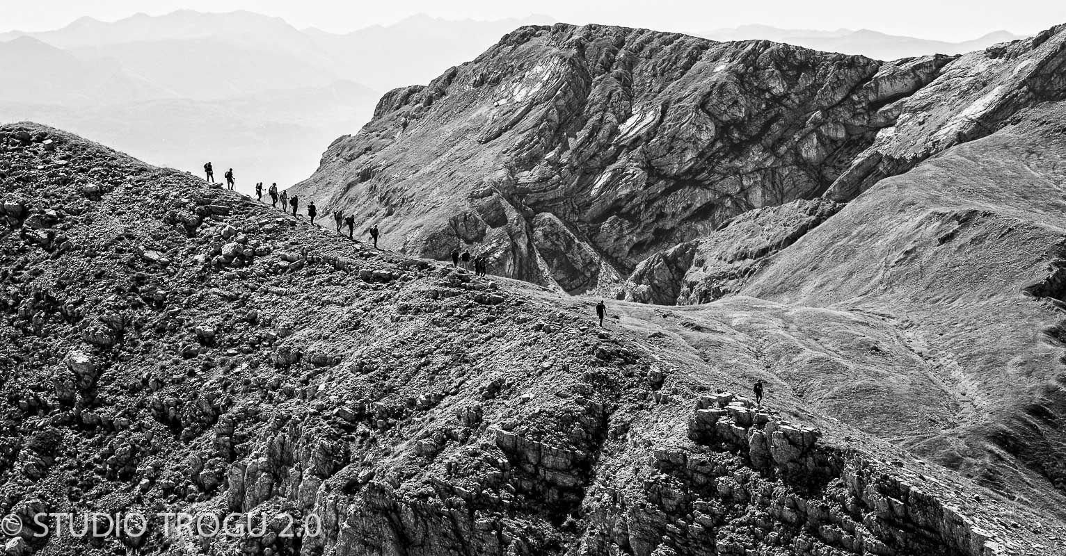 Photography & Project by fototrogu.mom